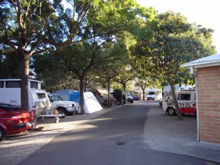 Du betrachtest gerade Von Adelaide nach Nuriootpa (Barossa Valley)