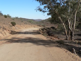 Du betrachtest gerade Von Wilpena nach Arkaroola